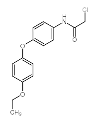 2-氯-N-[4-(4-乙氧基苯氧基)苯基]乙酰胺结构式