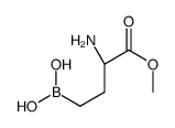 Butanoic acid, 2-amino-4-borono-, 1-methyl ester, (2S)- (9CI) picture