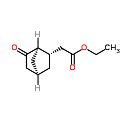 Bicyclo[2.2.1]heptane-2-acetic acid, 6-oxo-, ethyl ester, (1R,2S,4R)-rel- (9CI) structure