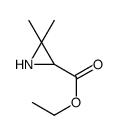 ethyl 3,3-dimethylaziridine-2-carboxylate Structure