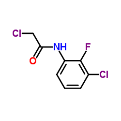2-Chloro-N-(3-chloro-2-fluorophenyl)acetamide结构式