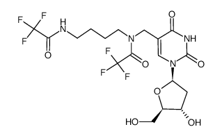 N,N'-bis(trifluoroacetyl)putrescinylthymidine Structure