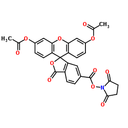 6-Carboxyfluorescein 3’,6’-Diacetate N-Succinimidyl Ester picture