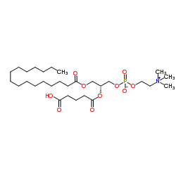 1-PALMITOYL-2-(4-CARBOXYBUTANOYL)-SN-GLYCERO-3-PHOSPHATIDYLCHOLINE structure