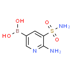 6-Amino-5-sulfamoylpyridine-3-boronic acid图片