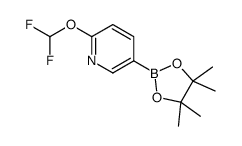 2-(Difluoromethoxy)-5-(4,4,5,5-tetramethyl-1,3,2-dioxaborolan-2-yl)pyridine结构式