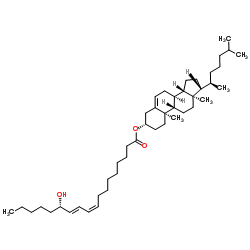 13(S)-HODE cholesteryl ester Structure