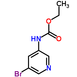 Ethyl (5-bromo-3-pyridinyl)carbamate structure