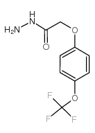 4-(三氟甲氧基)苯氧基乙酸肼图片