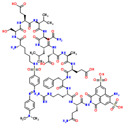 Lys(Dabsyl)-(Asn670,Leu671)-Amyloid β/A4 Protein Precursor770 (667-676)-Gln-Lucifer Yellow ammonium salt structure