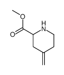 2-Piperidinecarboxylicacid,4-methylene-,methylester(9CI) picture
