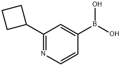 (2-cyclobutylpyridin-4-yl)boronic acid结构式