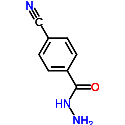 4-氰基苯肼结构式