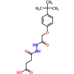 4-{2-[(4-tert-butylphenoxy)acetyl]hydrazino}-4-oxobutanoic acid结构式