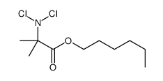 hexyl 2-(dichloroamino)-2-methylpropanoate Structure