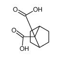 bicyclo[2.2.1]heptane-7,7-dicarboxylic acid Structure
