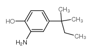 Phenol,2-amino-4-(1,1-dimethylpropyl)- structure