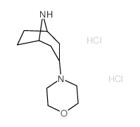 3-(4-Morpholinyl)-8-azabicyclo[3.2.1]octane dihydrochloride结构式