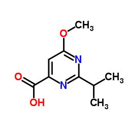 2-Isopropyl-6-methoxy-4-pyrimidinecarboxylic acid Structure