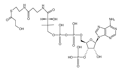 S-(3-hydroxy-propionyl)-coenzyme-A结构式