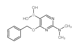 4-Benzyloxy-2-dimethylaminopyrimidine-5-boronic acid picture