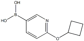 2-(Cyclobutoxy)pyridine-5-boronic acid结构式