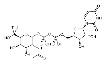 uridine diphosphate n-acetyl-d-galactosamine, [galactosamine-6-3h(n)]结构式