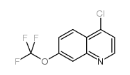 4-Chloro-7-trifluoro methoxyquinoline picture