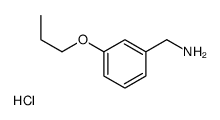 (3-propoxyphenyl)methanamine,hydrochloride结构式