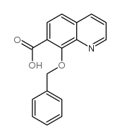 8-苄氧基喹啉-7-羧酸结构式