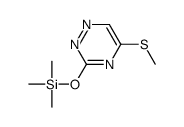 trimethyl-[(5-methylsulfanyl-1,2,4-triazin-3-yl)oxy]silane结构式