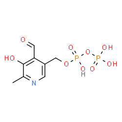 pyridoxal diphosphate picture