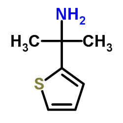 2-(Thiophen-2-yl)propan-2-amine Structure