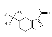 5-(叔丁基)-4,5,6,7-四氢苯并[d]异噁唑-3-羧酸图片
