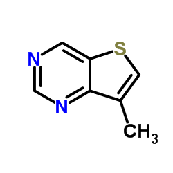 7-甲基噻吩并[3,2-d]嘧啶图片