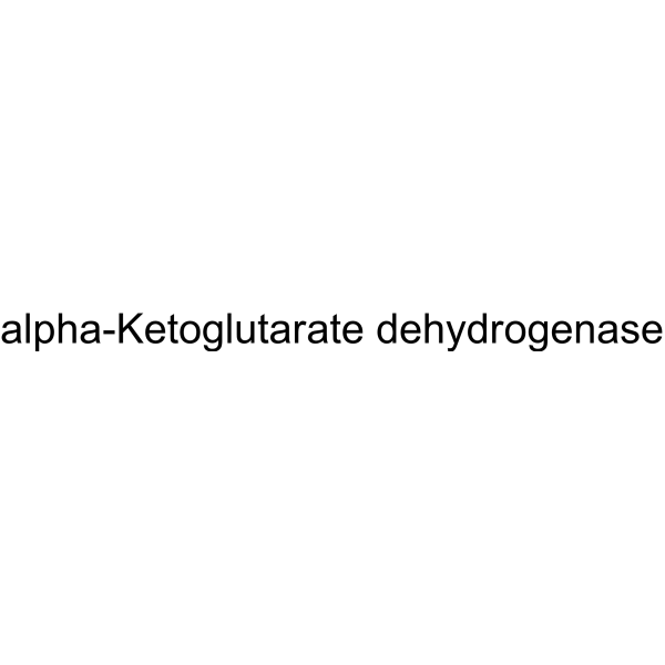 α-Ketoglutarate dehydrogenase picture