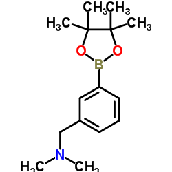 N,N-DIMETHYL-1-(3-(4,4,5,5-TETRAMETHYL-1,3,2-DIOXABOROLAN-2-YL)PHENYL)METHANAMINE structure