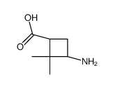 Cyclobutanecarboxylic acid, 3-amino-2,2-dimethyl-, cis- (9CI) picture