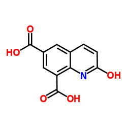 2-Oxo-1,2-dihydro-6,8-quinolinedicarboxylic acid Structure
