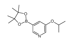 5-异丙氧基吡啶-3-硼酸频那醇酯结构式