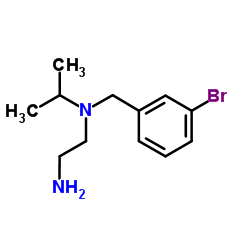 N-(3-Bromobenzyl)-N-isopropyl-1,2-ethanediamine Structure