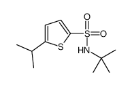 N-tert-butyl-5-propan-2-ylthiophene-2-sulfonamide结构式