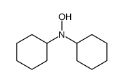 N,N-dicyclohexylhydroxylamine结构式