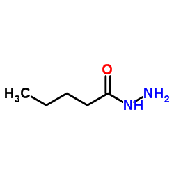 Pentanehydrazide Structure