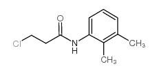 3-chloro-N-(2,3-dimethylphenyl)propanamide结构式