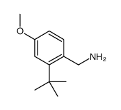 (2-tert-butyl-4-methoxyphenyl)methanamine结构式