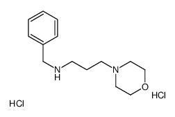 N-benzyl-3-morpholin-4-ylpropan-1-amine,dihydrochloride Structure