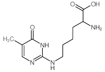 2-amino-6-[(5-methyl-4-oxo-3H-pyrimidin-2-yl)amino]hexanoic acid结构式