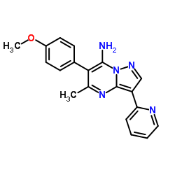 6-(4-Methoxyphenyl)-5-methyl-3-(2-pyridinyl)pyrazolo[1,5-a]pyrimidin-7-amine Structure