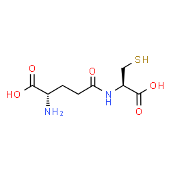 gamma-glutamylcysteine图片